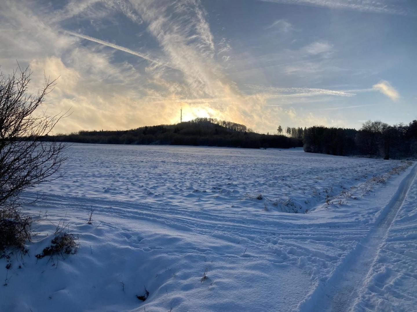 Ferienwohnung Am Hochkelberg Bereborn エクステリア 写真