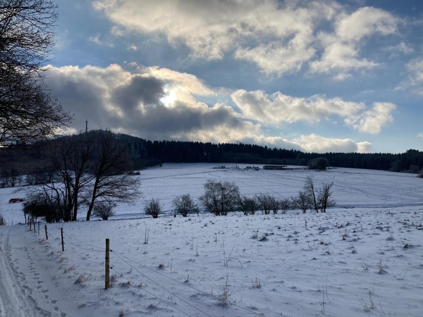 Ferienwohnung Am Hochkelberg Bereborn エクステリア 写真