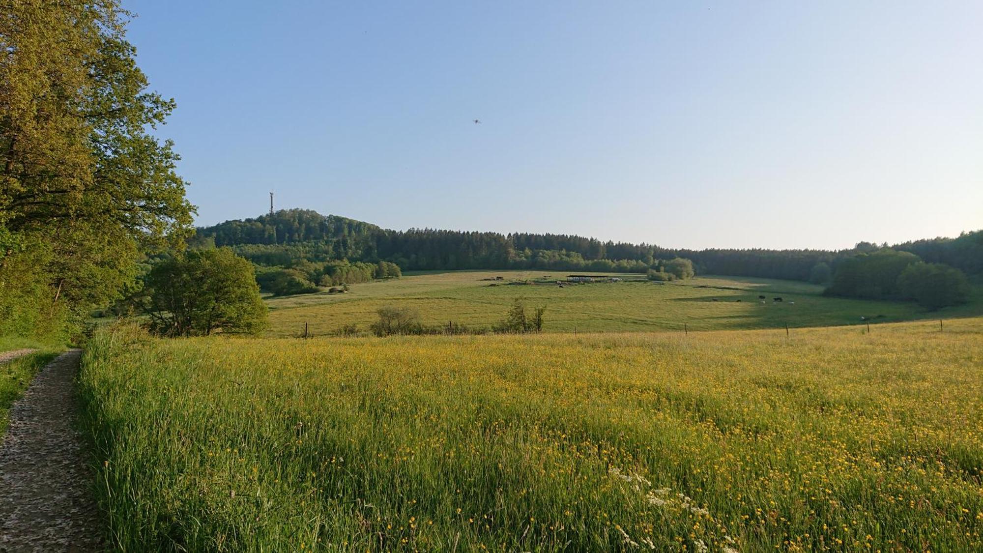 Ferienwohnung Am Hochkelberg Bereborn エクステリア 写真
